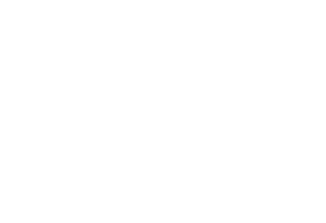 Logo NSDIS Animation Software